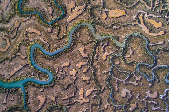 Fractal shape of a river